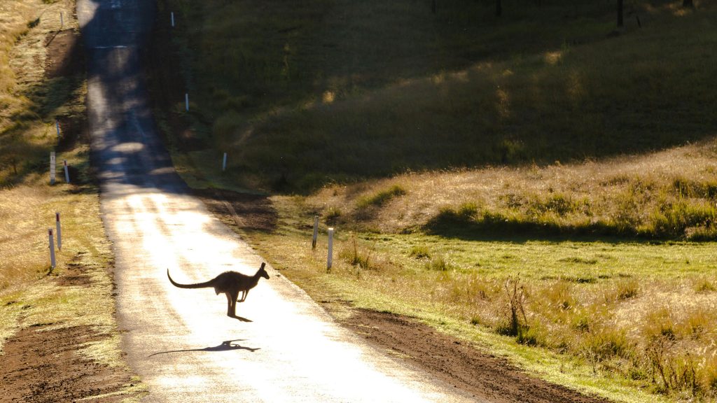 Quelle assurance voyage Australie choisir en 2026 ?
